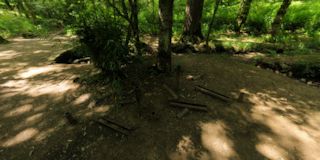 In Situ